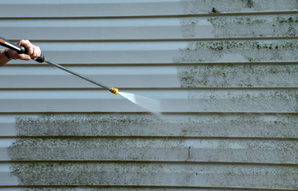 Best Attic Mold Removal  in South Creek, WA