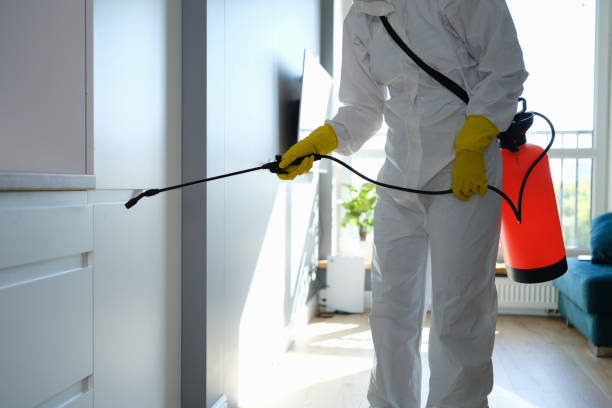 Best Residential Mold Removal  in South Creek, WA