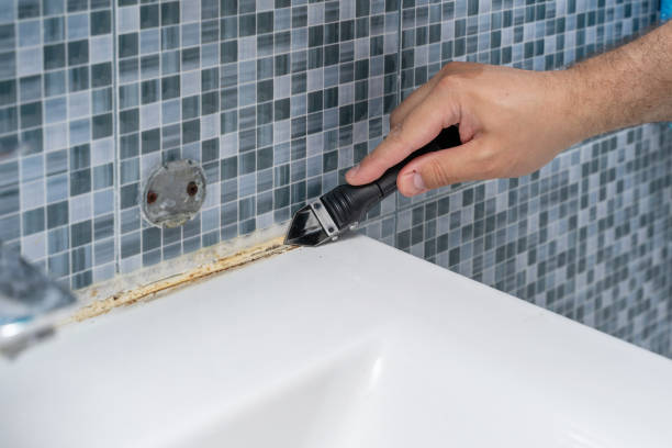 Best Mold Removal Company Near Me  in South Creek, WA