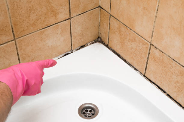 Best Certified Mold Removal  in South Creek, WA